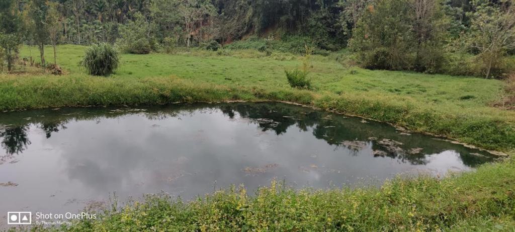 La Paz Coorg Homestay At Madikeri Town Экстерьер фото